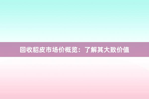 回收貂皮市场价概览：了解其大致价值